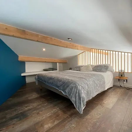 公寓 Loft Bassin D'arcachon *